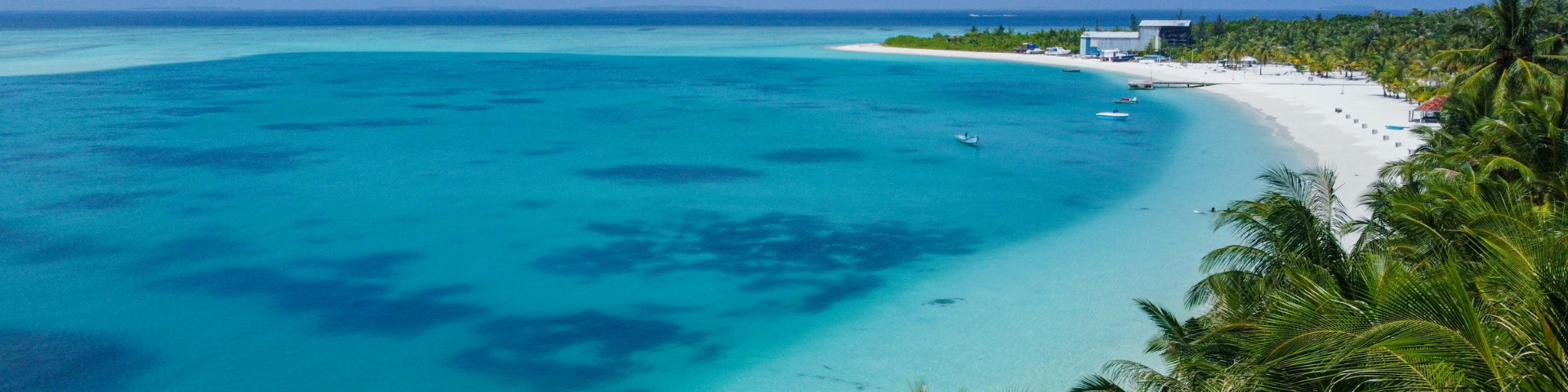 Banner promocional 1