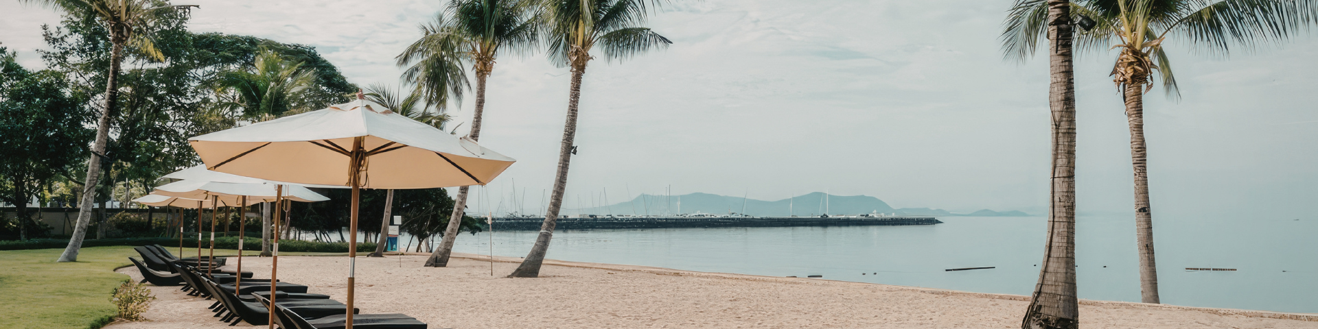 Banner promocional 2